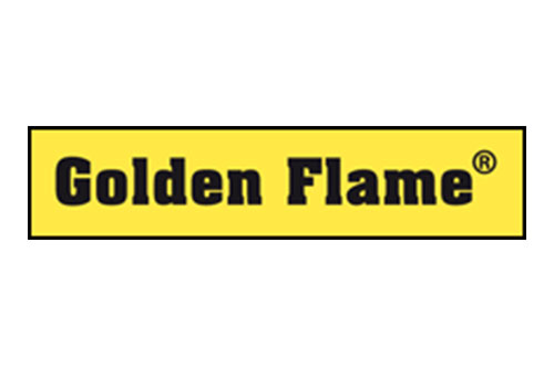 logo golden flame